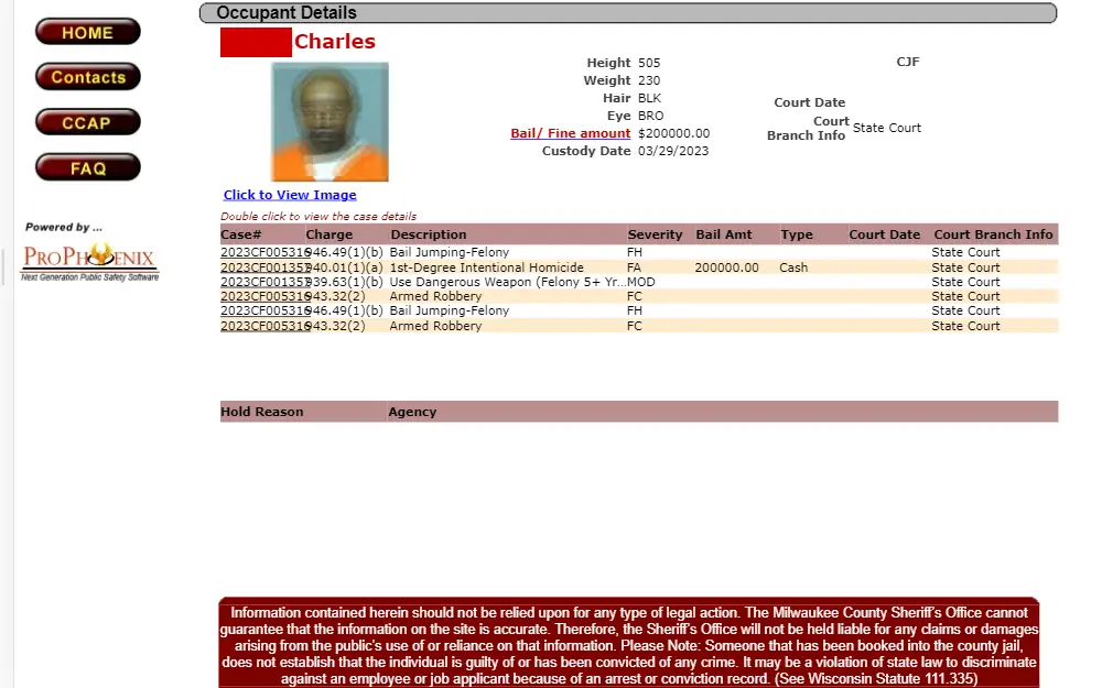 A screenshot of the search tool that allows the public to obtain information about individuals in custody.